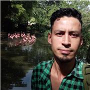 Clases particulares biología, física y química, grados 6, 7 y 8 en Cali